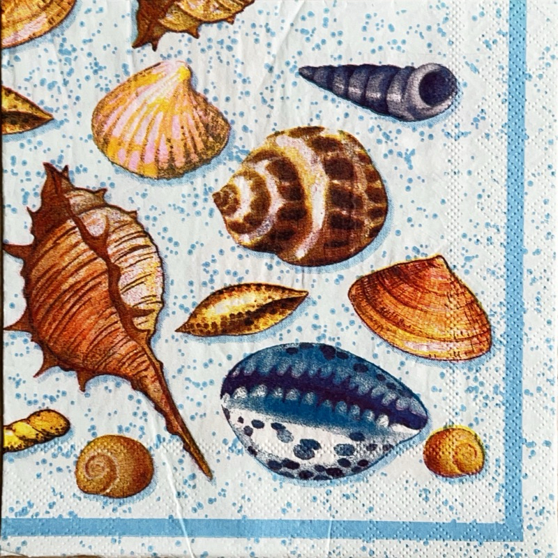 Pladao Napkin 389 ภาพทะเล เปลือกหอยวินเทจ พื้นฟ้า Seashells กระดาษ แนพกิ้น สำหรับงานศิลปะ เดคูพาจ decoupage ขนาด L 33x33