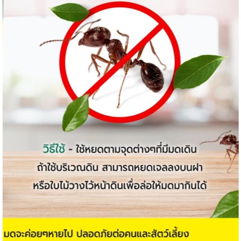 เจลกำจัดมดเจลกำจัดมดเจล (JA) ไล่มดปลอดภัยต่อคนและสัตว์เลี้ยง เนื้อเจลสีขาวใสแต่งกลิ่นที่มดชื่นชอบ120กรัม - รูปที่ 2