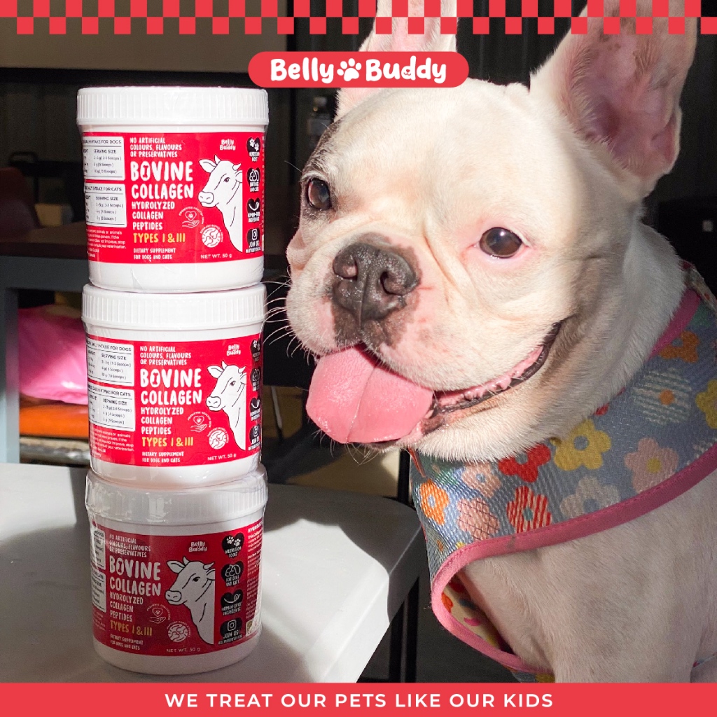 Belly Buddy คอลลาเจนบริสุทธิ์จากวัว 100% สำหรับสุนัขและแมว บำรุงกระดูกข้อต่อ ลดอาการหลอดลมตีบ