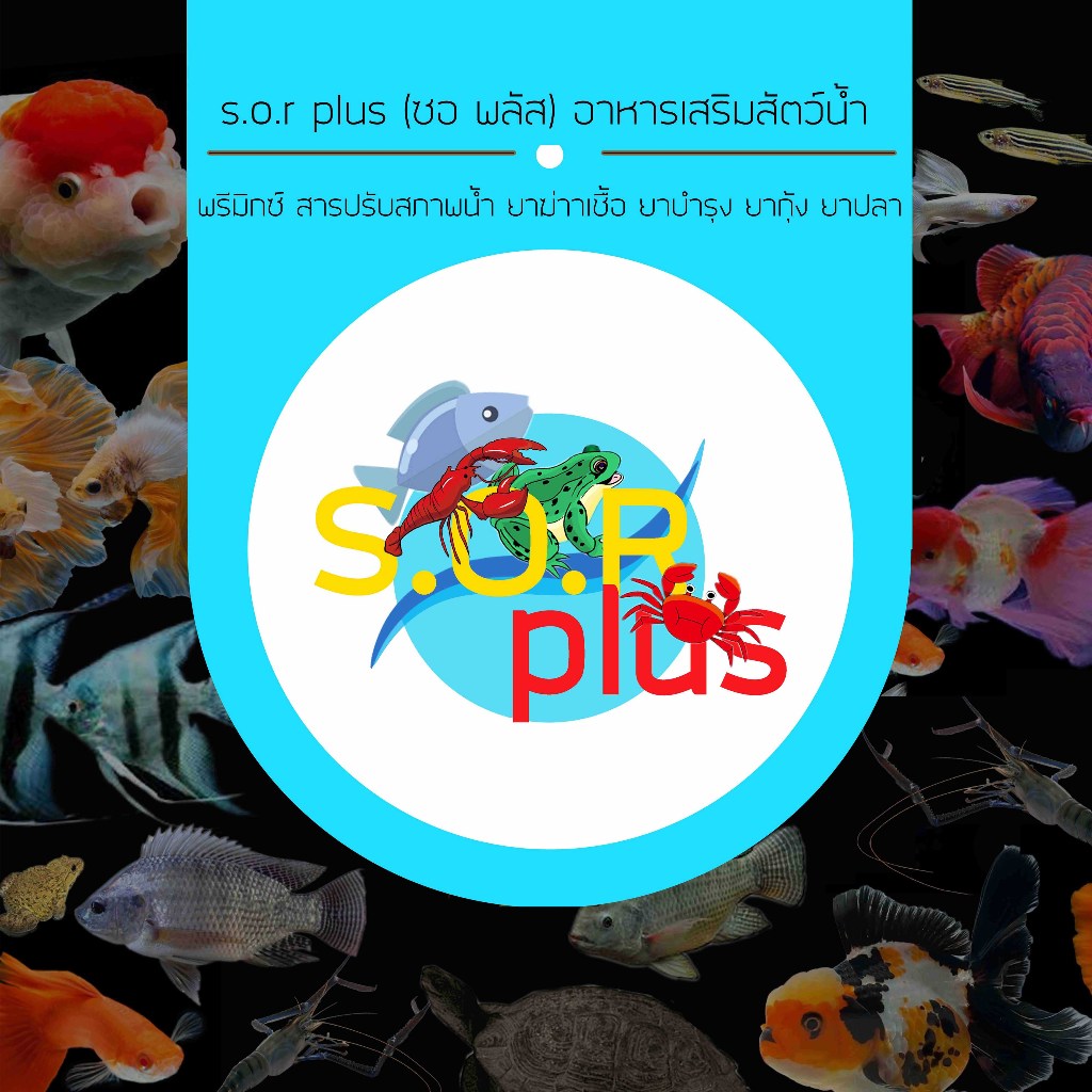 k ปร-สิต แก้ ปัญ หา พยา-ธิ  ภายนอก ทั้งหมด ครอบคลุม เห็นผล สำหรับปลาสวยงาม อุปกรณ์เสริมในการเลี้ยงปลาสวยงาม - รูปที่ 4