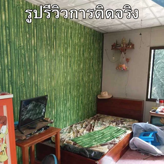 วอลเปเปอร์ติดผนัง ลายไผ่ ขนาด0.45x9-10เมตร ติดง่าย กันน้ำ มีกาวในตัว ราคาประหยัด สติกเกอร์ติดผนัง วอลเปเปอร์ติดผนังบ้าน