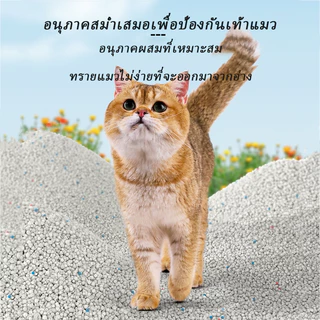 ทรายแมว ครอกแมวเบนโทไนท์ มี 6 กลิ่นให้เลือก พลังฆ่ากลิ่นที่เหนือกว่า การดูดซับที่แข็งแกร่ง 6L/2KG