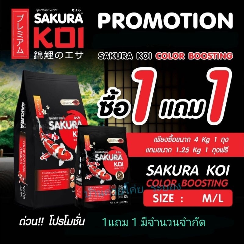 💥SAKURA KOI 💥สูตรเร่งสี โปร 1 แถม 1 ..ซื้อ​ถุง 4 กก. แถมถุง 1.25 กก.เม็ดลอย.. อาหารใหม่ Exp.2027