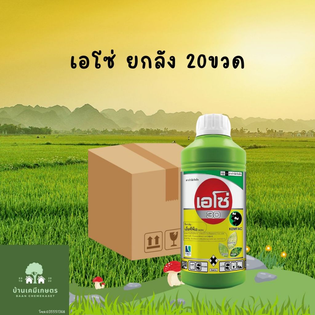 เอโซ่ ยกลัง 20ขวด กำจัดหญ้าใบกว้าง แห้วหมู