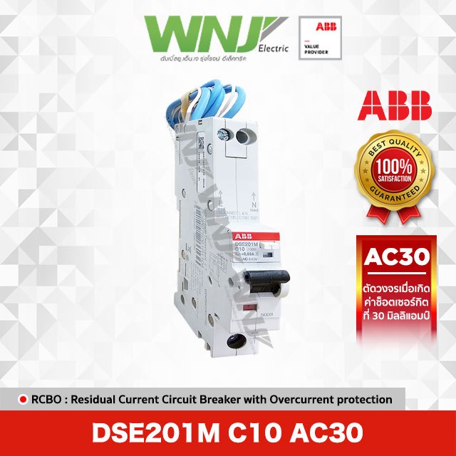 RCBO รุ่น DSE201M ( 1 Pole ) 10A