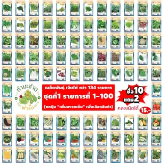 เจียไต๋15฿#1 [10แถม2] เมล็ดพันธุ์ผัก สวนครัว เจียไต๋ เม็ดผัก ผักชี ผักบุ้ง คะน้า กวางตุ้ง ผักกาด ถั่ว บวบ แตง เมล็ดพืช