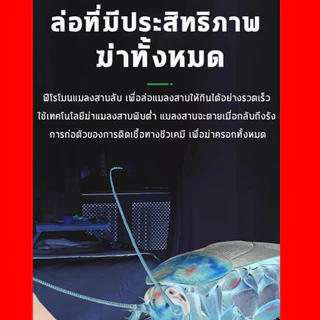ไม่มีแมลงสาบ 3 ปี เหยื่อกำจัดแมลงสาบ กําจัดแมลงสาบ ยากําจัดแมลงสาบ ไล่แมลงสาบ ปลอดภัยสำหรับมนุษย์และสัตว์