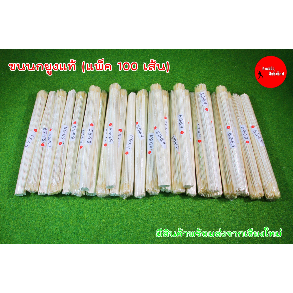 ขนนกยูงแท้ แพ็ค 100 เส้น อุปกรณ์ทำทุ่นตกปลา ชิงหลิว ตกปลา DIY มีสินค้าพร้อมส่ง