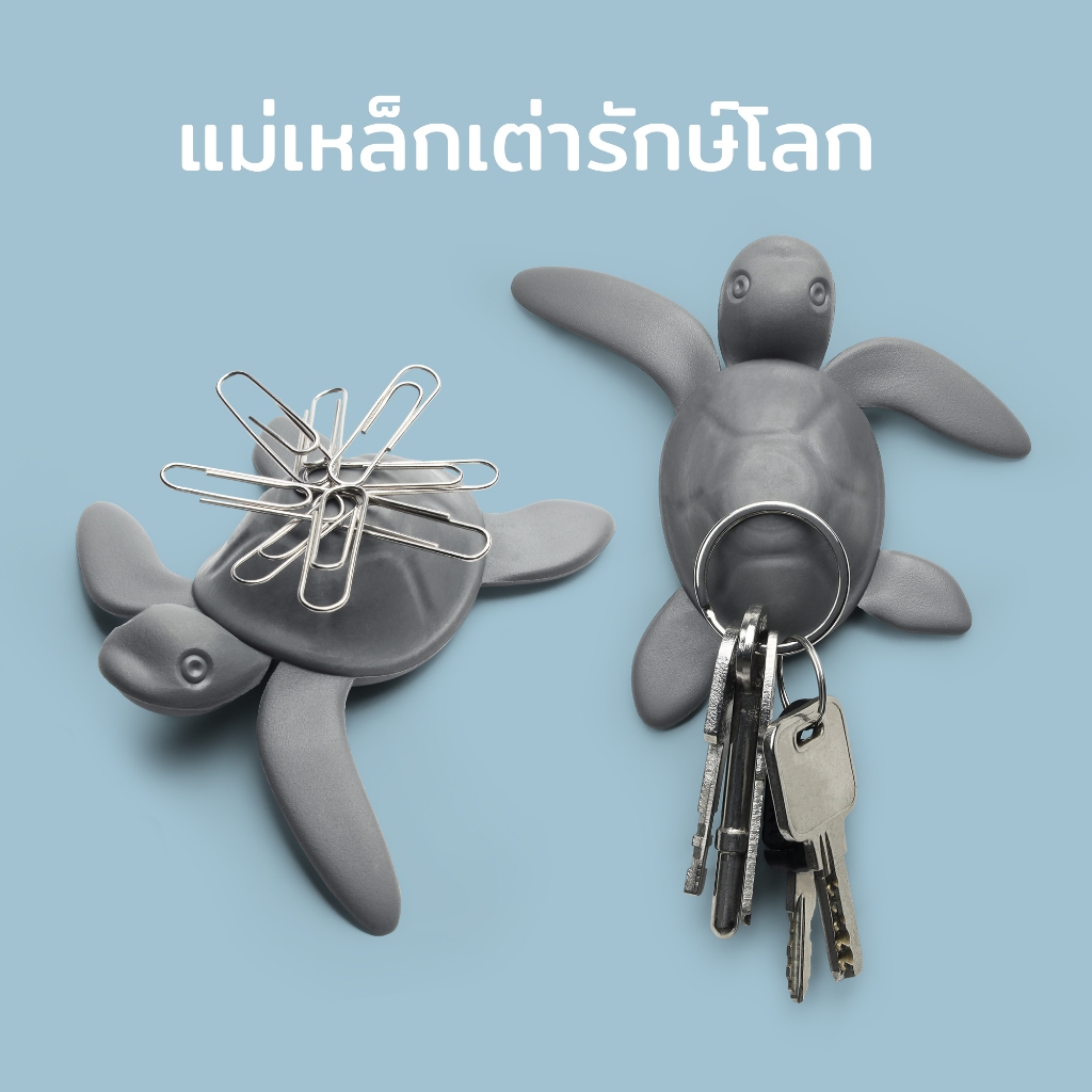 Save Turtle Magnet แม่เหล็ก ดีไซน์ เต่า ใช้เก็บกุญแจ คลิปหนีบกระดาษ ทับกระดาษ Qualy (ควอลี่)