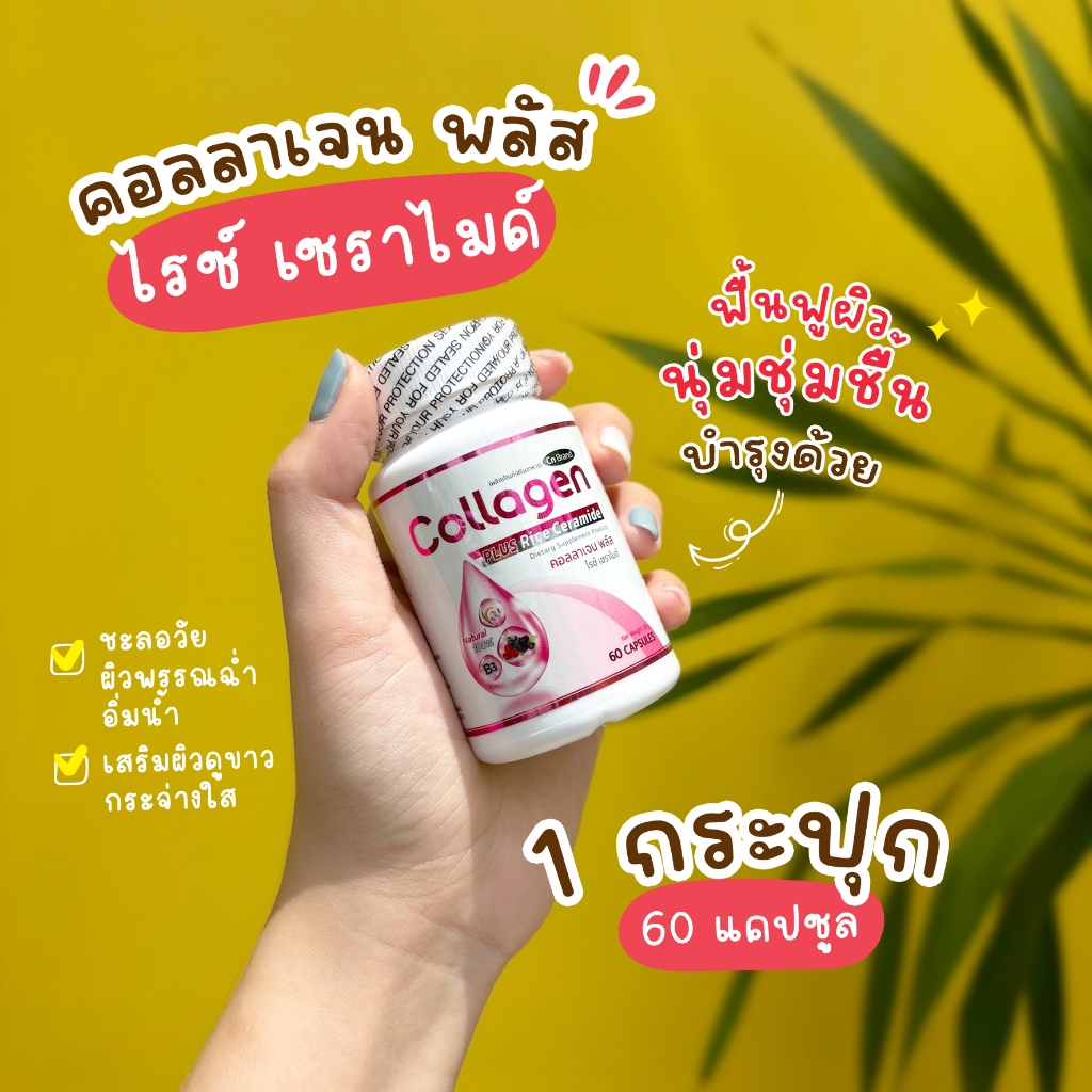 🔥ส่งฟรี ส่งไว🔥CN Collagen Plus คอลลาเจนจากเซราไมด์ที่ได้จากข้าว บำรุงผิวกระจ่างใส ลดการเกิดสิว | 1 ก