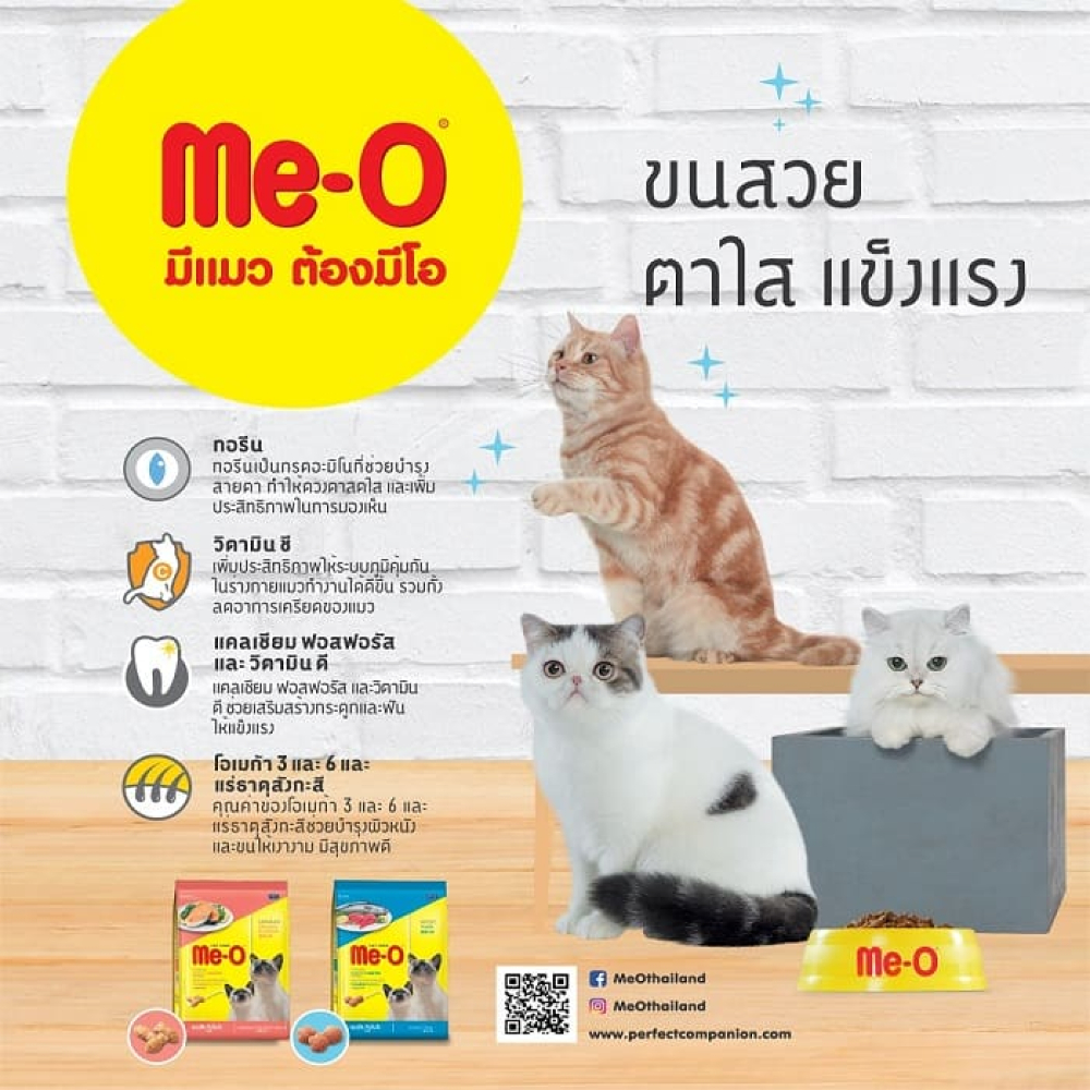 รูปภาพ 2