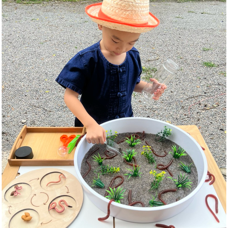 Dirt & Digging Earthworm Sensory Play วงจรชีวิตไส้เดือน วงจรชีวิตสัตว์ (พร้อมส่ง🇹🇭)