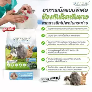 CatHoliday อาหารกระต่าย โต VETREC 1 kg. ไฟเบอร์สูง อาหารเม็ดกระต่าย Rabbit Maintenance