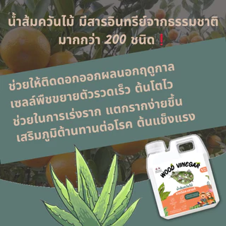 น้ำส้มควันไม้ 100% ซื้อ1แถม1 (ขนาด1ลิตร) เข้มข้น กลิ่นแรง ป้องกัน มด เพลี้ย แมลงศัตรูพืช เชื้อโรคและเชื้อรา