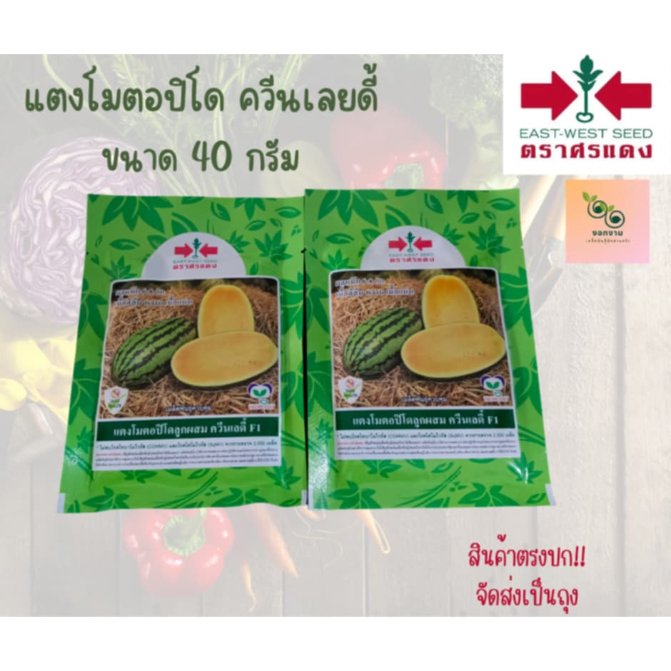 เมล็ดแตงโมตอปิโด ควีนเลดี้ ขนาด 40 กรัม