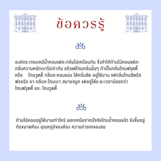 ก้านไม้หอมแบบ รีฟีล [ แถมก้านไม้ 10 ก้าน ] ขนาด 120 - 250 ML กลิ่นโรงแรม กลิ่นแบรนด์เนม - BLISS