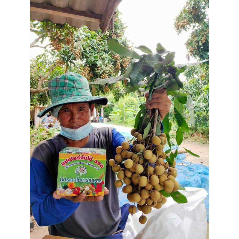ซุปเปอร์จัมโบ้360 Amino-Gluco-Chitin ขยายผลใหญ่,โตไว,เร่งราก,ต้นแข็งแรง,ผลดก,ขั่วเหนียว ราคา ถูกที่สุด ดีลบีเคเค แกลเลอรีภาพที่ 2