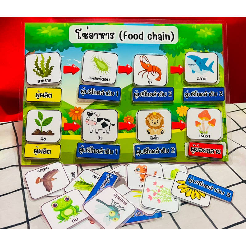 สื่อการสอนวิทยาศาสตร์ เรื่องโซ่อาหาร