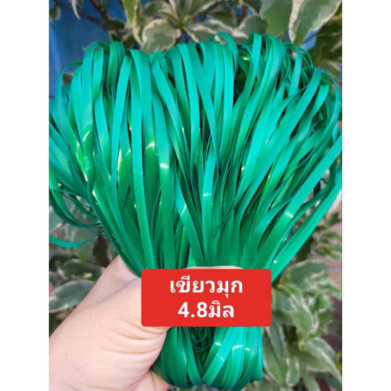 หวายสานตะกร้า สีขาว  4.8มิล ขนาด 500g (ครึ่งกิโลกรัม) เส้นยาว สีสันสวยงาม - รูปที่ 4