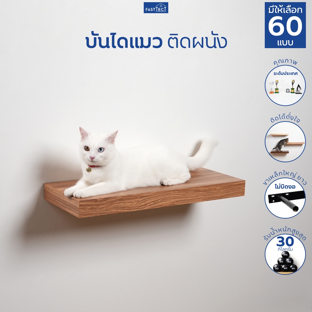 FASTTECT บันไดแมว ติดผนัง มินิมอล - สร้างพื้นที่ส่วนตัว ให้กับเจ้าเหมียว
