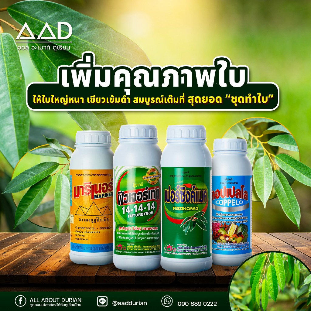 ชุดเพิ่มคุณภาพใบ อ.บรรยง  (มาริเนอร์ 14-14-14 เฟอร์ซิงค์แมค คอปเปลโล)