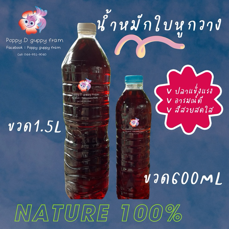 น้ำสกัดใบหูกวาง สูตรเข้มข้นจากร้านที่ร้านใช้เองเลี้ยงปลากัดและปลาหางนกยูง