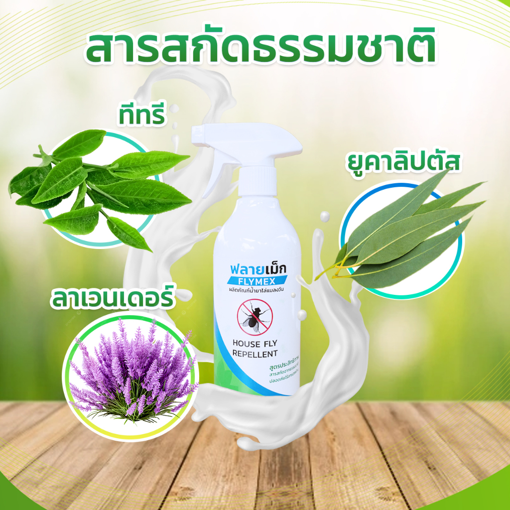 FLYMEX  สเปรย์น้ำยาไล่แมลงวัน (ขนาด 500มล.) สารสกัดธรรมชาติ กลิ่นหอม ปกป้องไล่แมลงวันยาวนาน ไร้สารเคมี มี อย. - รูปที่ 2