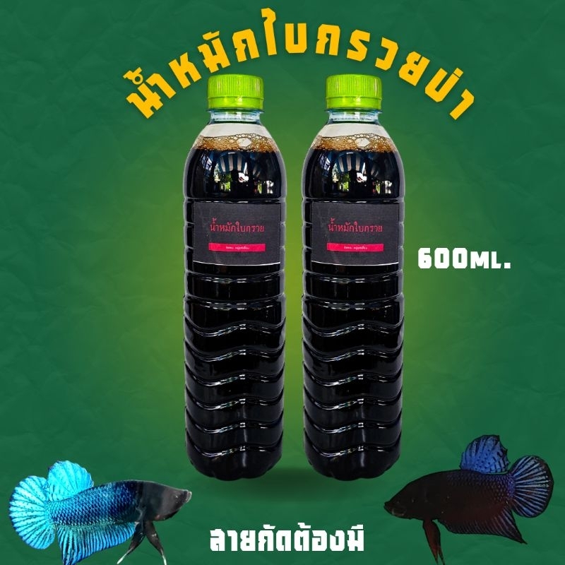 น้ำหมักใบกรวยป่าแท้ สำหรับปลาสายกัด สูตรเข้มข้น ขนาด600ml.2ขวด