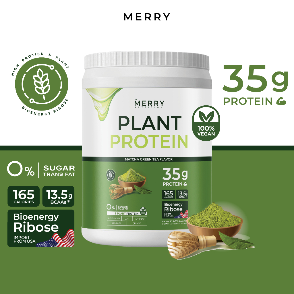 [1 กระปุก] Merry Plant Protein โปรตีนพืช 5 ชนิด : รส Matcha Green Tea