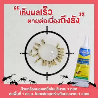 ส่งด่วน🎯 Bayer เจลกำจัดมด / เจลกำจัดแมลงสาบ 12 กรัม เบเยอร์ เหยื่อ กำจัดมด กำจัดแมลงสาบ