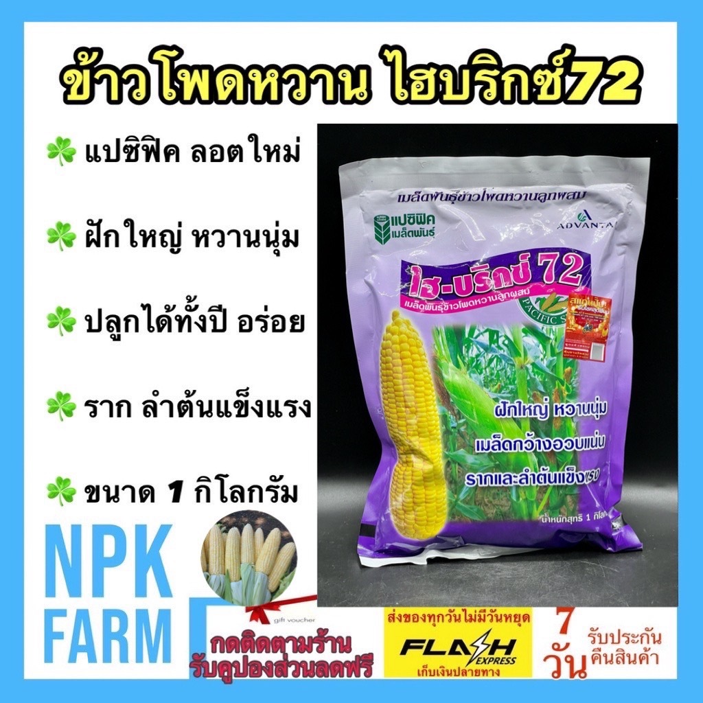 แปซิฟิค ข้าวโพดหวาน ไฮบริกซ์72 (ขนาด 1 กิโลกรัม) หมดอายุ15/07/2569ข้าวโพด ฝักใหญ่ หวาน นุ่ม อร่อย