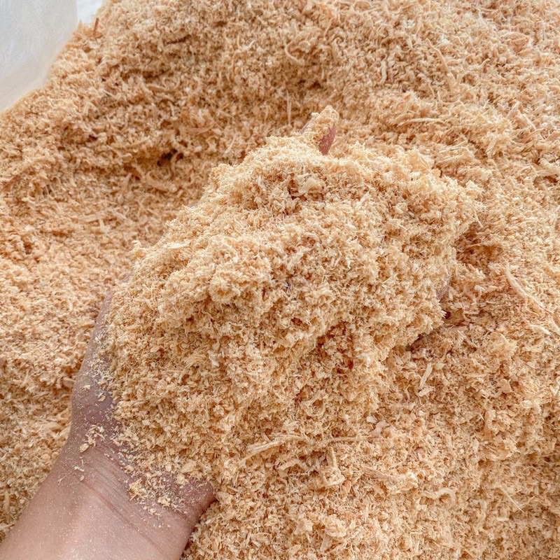 รูปภาพ 6