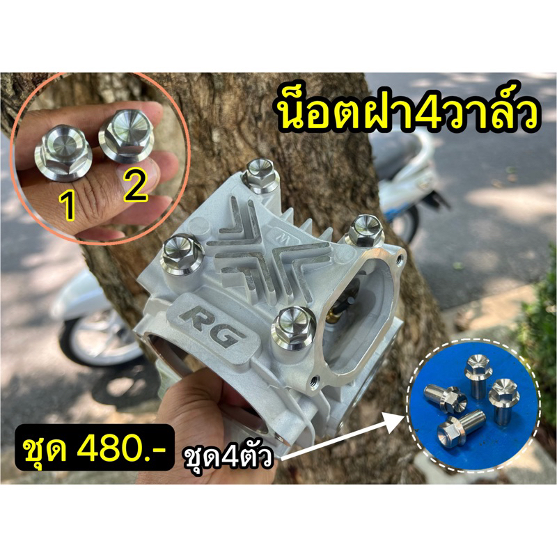 น็อตฝา4วาล์ว สแตนเลส