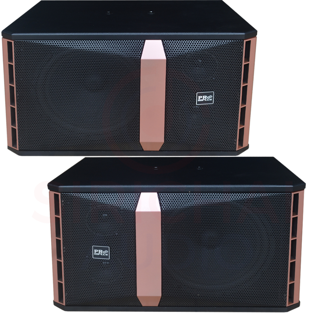 ลำโพงคู่ PROPLUS รุ่น KB310 คาราโอเกะ