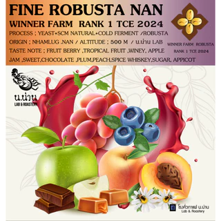 เมล็ดกาแฟ Fine Robusta Nan Winner Fram Rank 1 TCE 2024 / 86.63 คะแนน Yeast+SCM+Cold ferment Process