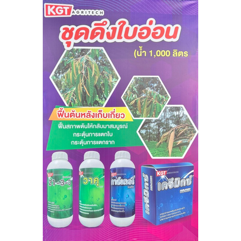 KGT เคจีที ชุดดึงใบอ่อน ฟื้นต้นหลังเก็บเกี่ยว กระตุ้นการแตกใบ กระตุ้นการแตกราก