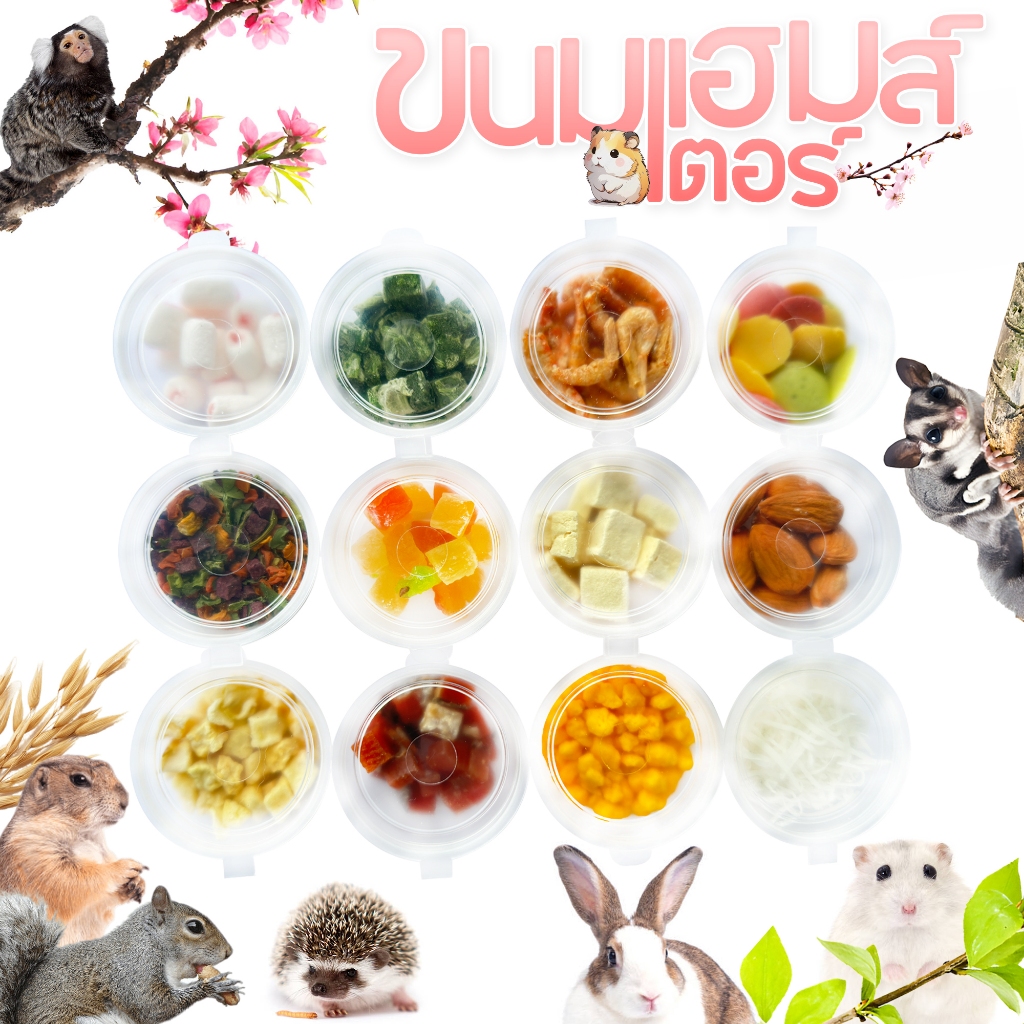 🦔ขนมมาใหม่ ขนมแฮมเตอร์ อาหารแฮมสเตอร์ ชูการ์ กระรอก กระต่าย เม่น ดอร์เมาส์ สัตว์ฟันเเทะอื่นๆ