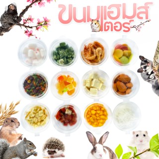 🦔ขนมมาใหม่ ขนมแฮมเตอร์ อาหารแฮมสเตอร์ ชูการ์ กระรอก กระต่าย …