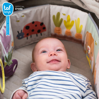 Taf Toys หนังสือผ้า กระจกสำหรับทารก Urban Garden Pram Book หนังสือ เสริมพัฒนาการ 0 เดือน ขึ้นไป รูปที่ 4