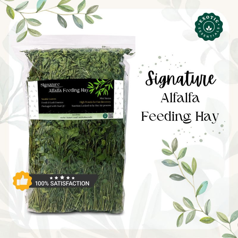 Exotic Essentials 🌿Alfalfa อัลฟาฟ่าพรีเมียม กลิ่นหอม ใบใหญ่ ก้านเล็ก โปรตีนสูง สำหรับกระต่าย แกสบี้ 