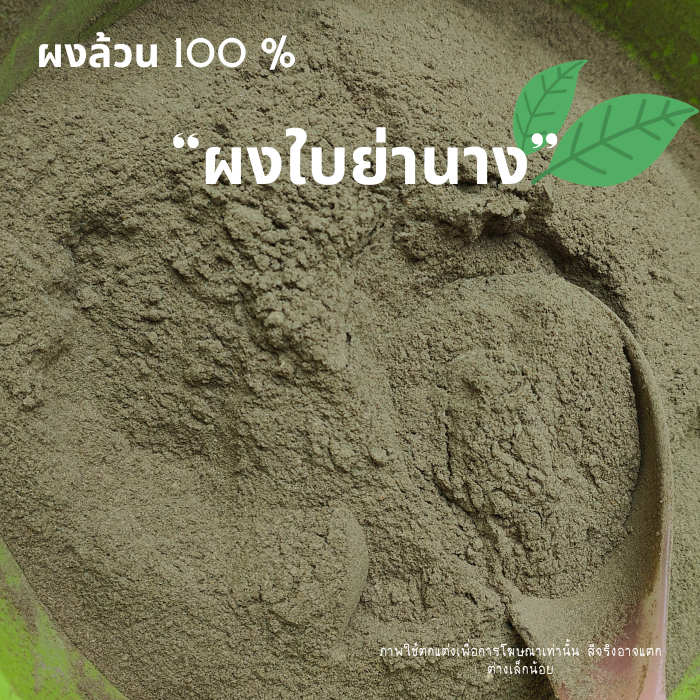 ผงใบย่านาง ใบย่านาง ขนาด 1000 กรัม