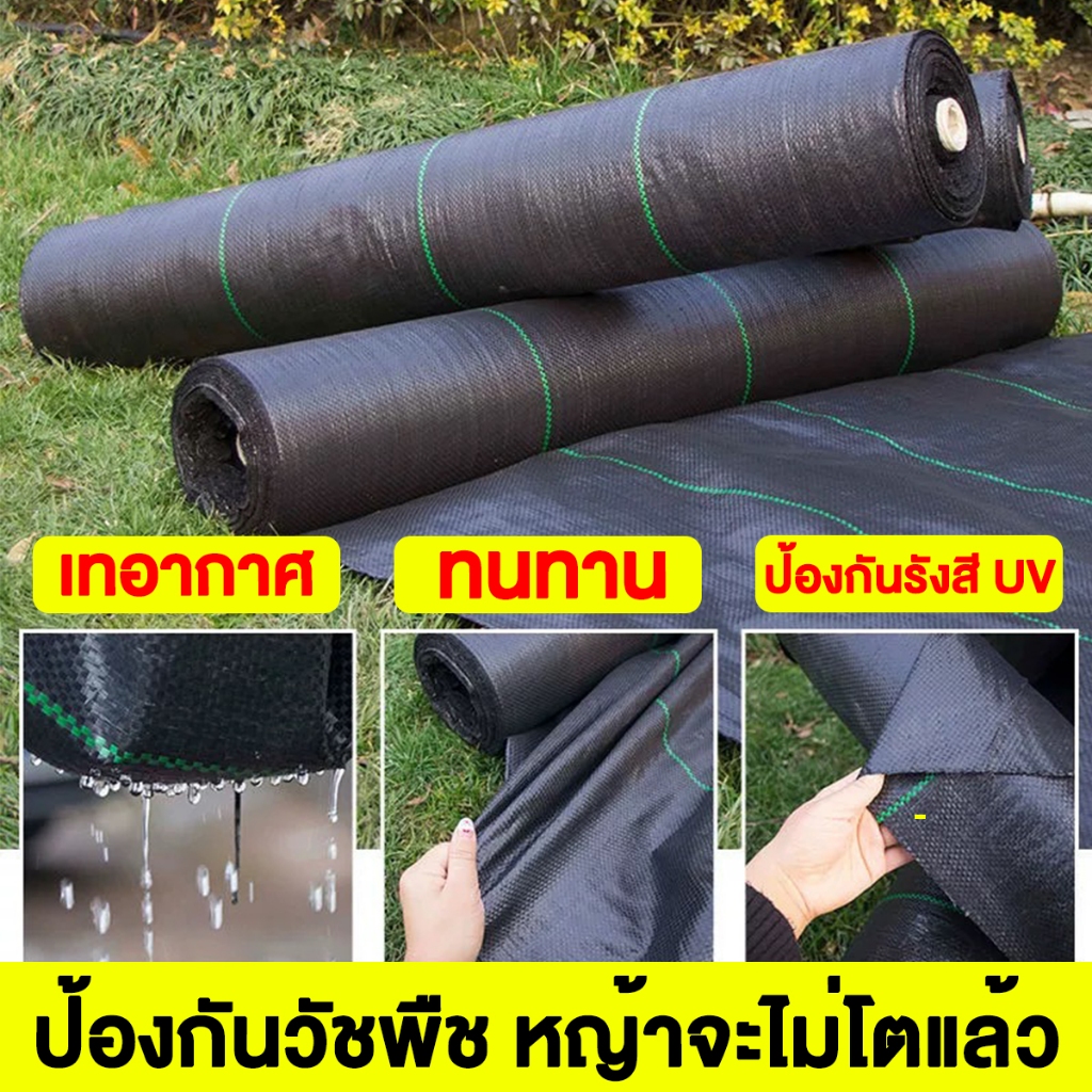กันยูวี100% พลาสติกคลุมดิน คลุมวัชพืช ผ้าคลุมดิน ฆ่าหญ้า ผ้าคลุมหญ้า พลาสติกคลุมหญ้า 1*100M/2*100M/3*100M