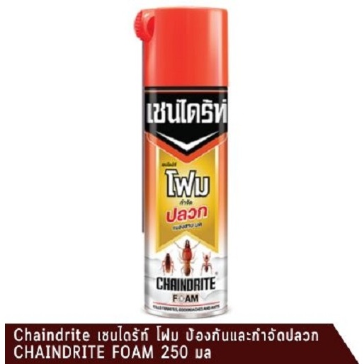 Chaindrite เชนไดร้ท์ โฟม ป้องกันและกำจัดปลวก CHAINDRITE FOAM 250 มล. Kn_พร้อมส่ง