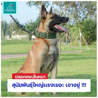 PrimePetto ปลอกคอสุนัขพันธุ์ใหญ่ 2XL-3XL ปลอกคอไนล่อนหนา เเข็งแรง ทนทาน ปลอกคอสัตว์เลี้ยง