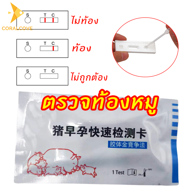 coralcoveshop ตรวจท้องหมู ตรวจตั้งครรภ์หมู ตรวจครรภ์สุกร สำหรับแม่สุกร อุปกรณ์สัตว์เลี้ยง