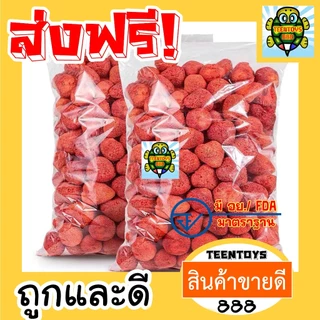 [ส่งด่วน] สตรอว์เบอร์รี่ฟรีซดราย 50 กรัม | สตรอเบอร์รี่อบกรอบ สตอเบอร์รี่กรอบ พร้อมทาน ผลไม้กรอบไม่ใส่น้ำตาล