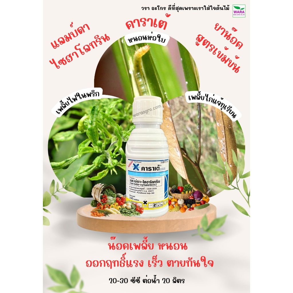 คาราเต้ แท้ดังเดิม สูตรเก่า แลมบ์ดา-ไซฮาโลทริน น็อคหนอนใหญ่ หนอนเล็ก เพลี้ยไฟ ตัวบิน ด้วงหมัดผัก ถูกตัวตายทันที