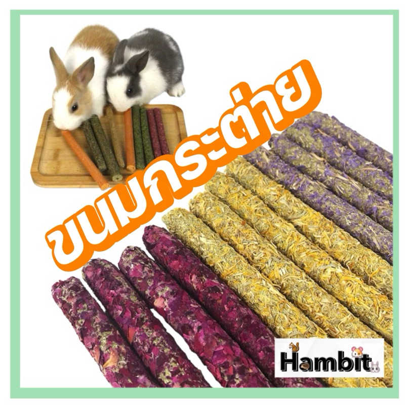 Hambit. ขนมอัดแท่งกระต่าย หญ้าอัดแท่ง ดอกไม้อัดแท่ง แกสบี้ สัตว์ฟันแทะ