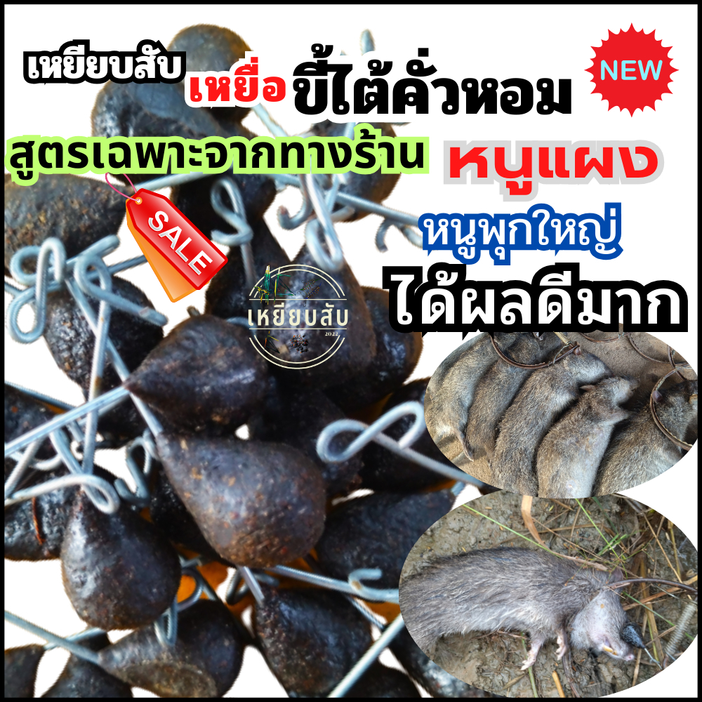 เหยื่อดักหนู ขี้ไต้คั่วหอมพร้อมใช้ (.ปั้นเหนียวสูตรเฉพาะจากทางร้าน).ใช้ดักหนูแผงดีมาก หนูพุกใหญ่ได้ผลดีมาก ใช้ยาวๆ