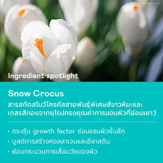 DIVYNE Green Forever Young Mask 70g มาส์กหน้า มาส์กผสมสดลดริ้วรอย ฝ้า รอยสิว จุดด่างดำ